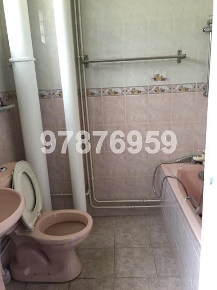 Blk 235 Bukit Panjang Ring Road (Bukit Panjang), HDB 5 Rooms #73494102